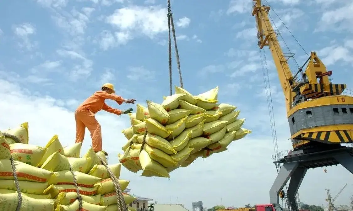 بحران ارز، گره اصلی بازار برنج/بدون حل معوقات ارزی، هیچ سیاستی جواب نمی‌دهد