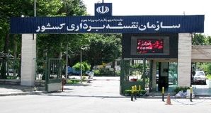 نقشه‌برداران، ستون فقرات توسعه پایدار کشور/سامانه SDI، در خدمت برنامه‌ریزی ملی