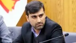 حذف ارز ترجیحی، تصمیمی شجاعانه که نیازمند تدبیر تکمیلی است