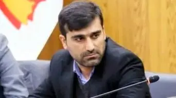 حذف ارز ترجیحی، تصمیمی شجاعانه که نیازمند تدبیر تکمیلی است