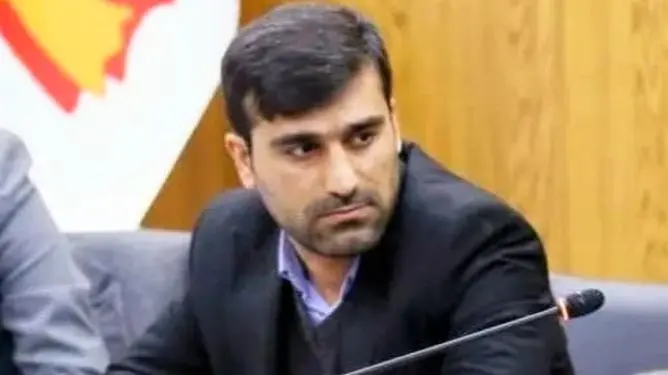 حذف ارز ترجیحی، تصمیمی شجاعانه که نیازمند تدبیر تکمیلی است