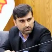 حذف ارز ترجیحی، تصمیمی شجاعانه که نیازمند تدبیر تکمیلی است