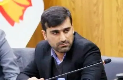 حذف ارز ترجیحی، تصمیمی شجاعانه که نیازمند تدبیر تکمیلی است