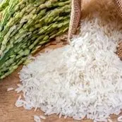 کسادی بی‌سابقه برنج مازندران/قیمت‌ها همچنان سر جای خود!