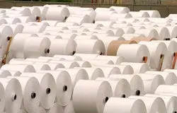 کمبود و گرانی کاغذ و مقوا/چاپخانه‌ها و مصرف‌کنندگان زیر فشار