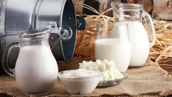 گرانی لبنیات به ضرر صنعت تمام می‌شود؛ پیشنهاد تولیدکنندگان برای جبران زیان