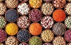 خشکسالی و تأخیر در تخصیص ارز/عامل اصلی نوسان قیمت حبوبات