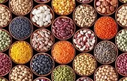 خشکسالی و تأخیر در تخصیص ارز/عامل اصلی نوسان قیمت حبوبات
