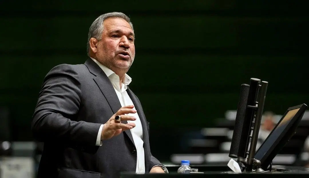 گرانی و تورم تقصیر مجلس نیست؛ ارز ترجیحی همچنان پرداخت می‌شود