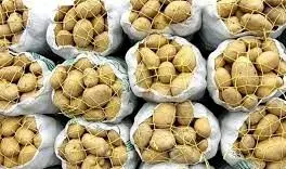 ادامه واردات سیب زمینی تا اردیبهشت