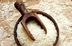 برنج ارزان می‌شود؛ سیاست عرضه مستمر واردات به نفع مصرف‌کننده