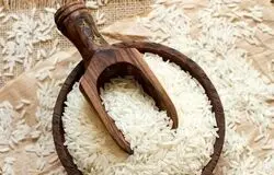 برنج ارزان می‌شود؛ سیاست عرضه مستمر واردات به نفع مصرف‌کننده