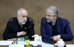 اصلاح زنجیره آرد و نان؛ آزمون واقعی برنامه هفتم برای تأمین امنیت غذایی