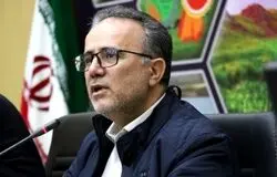 علیمردانی: قطع برق کشاورزی سرمایه کشاورزان را به‌کلی هدر می‌دهد