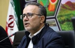علیمردانی: قطع برق کشاورزی سرمایه کشاورزان را به‌کلی هدر می‌دهد