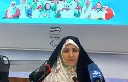 شناخت ناکافی مشاغل خانگی مانع حمایت از ۴۰ میلیون زن فعال اقتصادی است