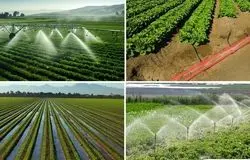 ۹۰ درصد آب کشاورزی ایران از آبیاری تأمین می‌شود؛ فناوری تنها راه عبور از کم‌آبی