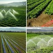 ۹۰ درصد آب کشاورزی ایران از آبیاری تأمین می‌شود؛ فناوری تنها راه عبور از کم‌آبی