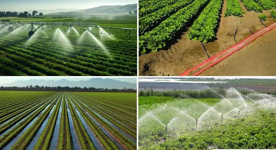 ۹۰ درصد آب کشاورزی ایران از آبیاری تأمین می‌شود؛ فناوری تنها راه عبور از کم‌آبی