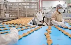 صادرکنندگان صنایع غذایی با مشکل بازگشت ارز و محدودیت مواد اولیه مواجه‌اند