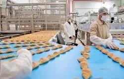 صادرکنندگان صنایع غذایی با مشکل بازگشت ارز و محدودیت مواد اولیه مواجه‌اند