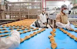 صادرکنندگان صنایع غذایی با مشکل بازگشت ارز و محدودیت مواد اولیه مواجه‌اند