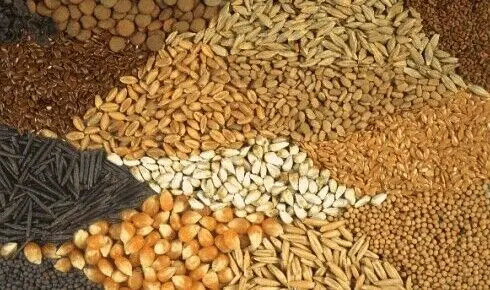 تشکل‌ها به توزیع نهاده‌های دامی وارد می‌شوند/تلاش برای عبور از بحران سه‌ماهه