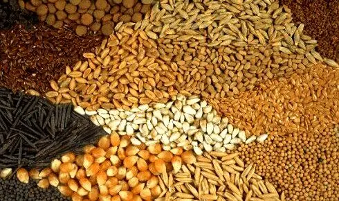 تشکل‌ها به توزیع نهاده‌های دامی وارد می‌شوند/تلاش برای عبور از بحران سه‌ماهه