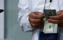 فروش ارز حج تمتع ۱۴۰۵ تا سقف ۵۰۰ دلار از طریق بانک ملی با نرخ اسکناس مرکز مبادله انجام می‌شود