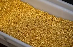 طلا در مسیر صعودی؛ رکوردهای تازه در راه است