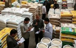 دلالان به دنبال افزایش قیمت برنج تا بیش از ۴۰۰ هزار تومان+ویدیو