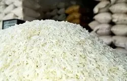  رانت یک هفته برنج از کل سرمایه اتاق‌های بازرگانی بیشتر است+ویدیو