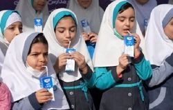 ابهام در توزیع شیر مدارس؛ آیا این طرح اجرایی می‌شود؟