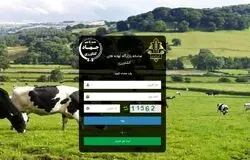 تشدید نظارت در بازارگاه؛ حساب متخلفان مسدود می‌شود