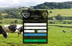 تشدید نظارت در بازارگاه؛ حساب متخلفان مسدود می‌شود