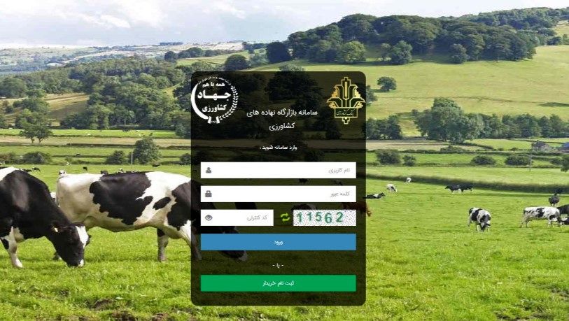 تشدید نظارت در بازارگاه؛ حساب متخلفان مسدود می‌شود