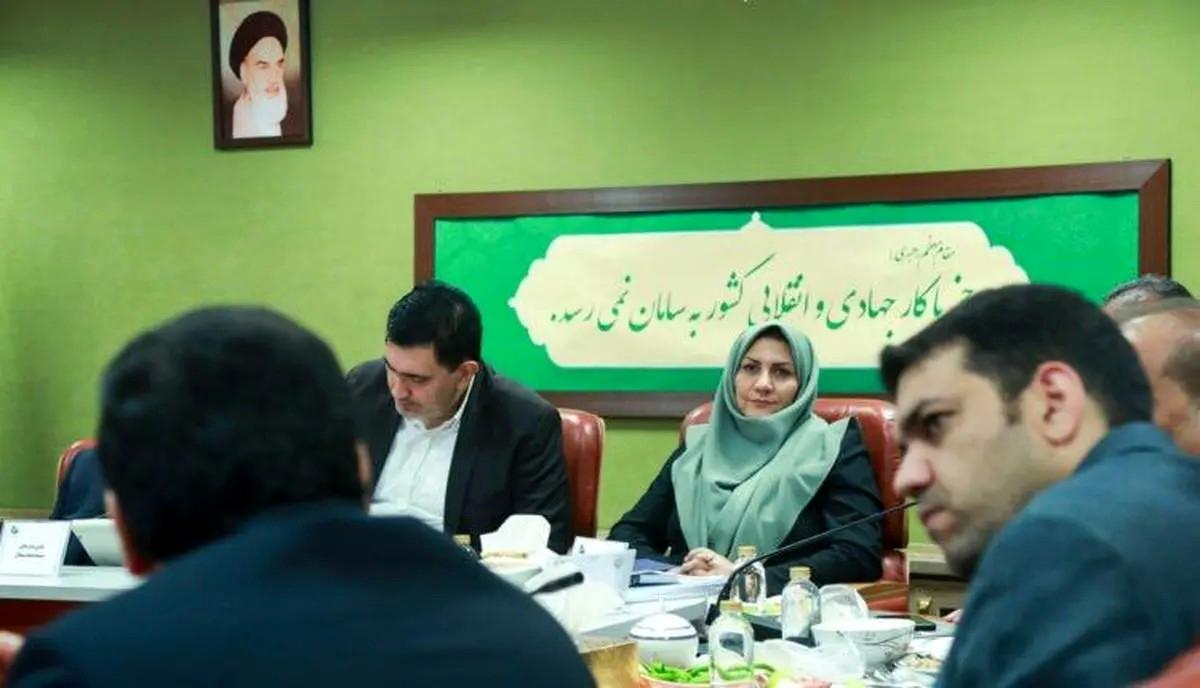 تضاد روایتها؛ وزارت جهاد کشاورزی از بهبود میگوید، فعالان بازار از خسارت