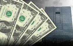 بانک مرکزی از خرید مستقیم اسکناس ارز کنار کشید؛ تأمین نیاز تجار با نرخ توافقی