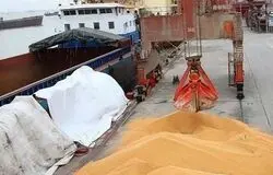 فریاد گرانی در بازارهای جهانی/حمله به ایران، قیمت غذا را به آسمان فرستاد!