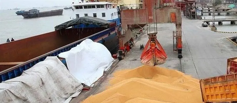 فریاد گرانی در بازارهای جهانی/حمله به ایران، قیمت غذا را به آسمان فرستاد!