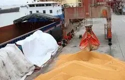 فریاد گرانی در بازارهای جهانی/حمله به ایران، قیمت غذا را به آسمان فرستاد!