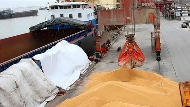 فریاد گرانی در بازارهای جهانی/حمله به ایران، قیمت غذا را به آسمان فرستاد!