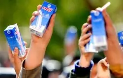 تاخیر در توزیع شیر مدارس به دلیل قیمت شیر خام و قراردادهای معوق