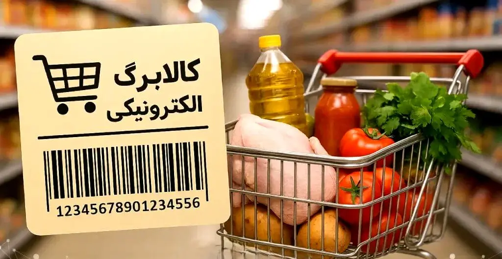 مبلغ یک میلیون تومان «حکم چسب زخم» را هم ندارد/لزوم شفافیت در عایدی حذف ارز ترجیحی»