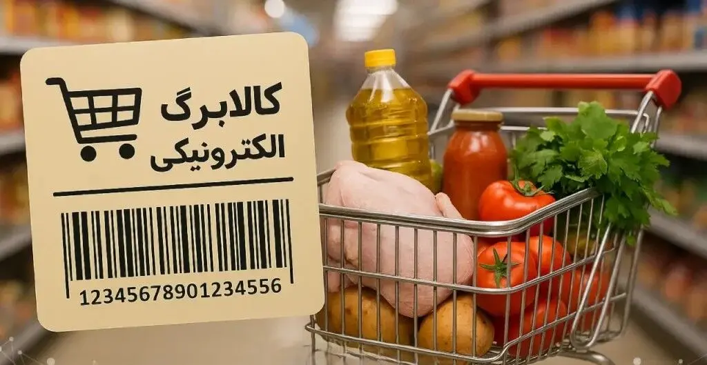 مبلغ یک میلیون تومان «حکم چسب زخم» را هم ندارد/لزوم شفافیت در عایدی حذف ارز ترجیحی»