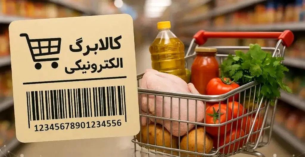 مبلغ یک میلیون تومان «حکم چسب زخم» را هم ندارد/لزوم شفافیت در عایدی حذف ارز ترجیحی»