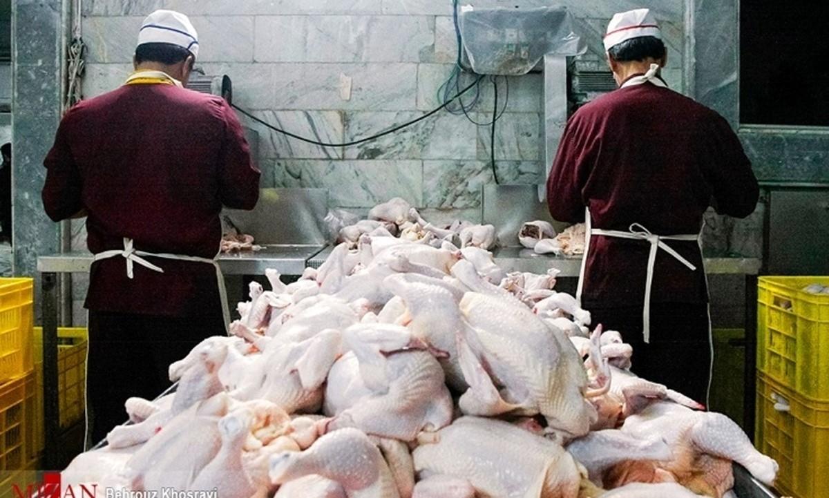 هشدار نسبت به کمبود مرغ در ماه‌های آینده