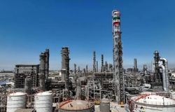 کنسرسیوم پتروشیمی‌ها برای مهارت‌آموزی جوانان بوشهری تشکیل می‌شود