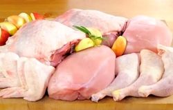 قیمت مرغ صعودی شد؛ فشار هزینه‌ها و قطعی برق کار تولیدکنندگان را دشوار کرده است