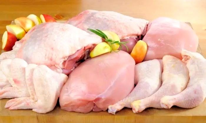 قیمت مرغ صعودی شد؛ فشار هزینه‌ها و قطعی برق کار تولیدکنندگان را دشوار کرده است